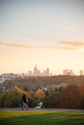 Unterschiedliche Meinung